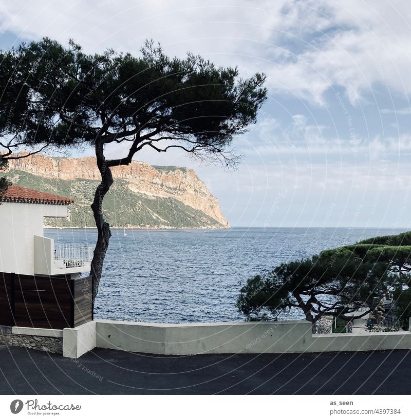 The Bay of Cassis France Marseille coast cliffs Tree Contrast Cote d'Azur Summer vacation Relaxation elegance Vacation & Travel Exterior shot Mediterranean