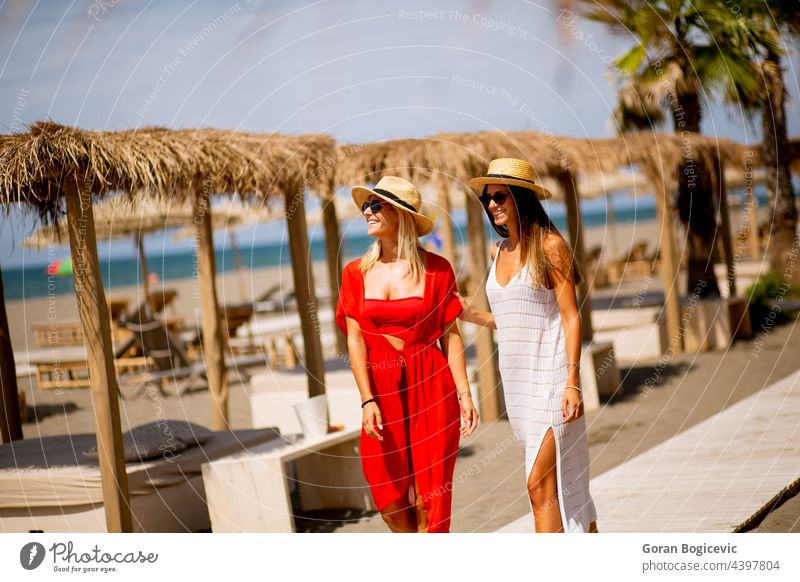 Two young women walking on a beach at summer adult attractive beautiful beauty casual caucasian coast dress elegant enjoy enjoyment fashionable female happiness