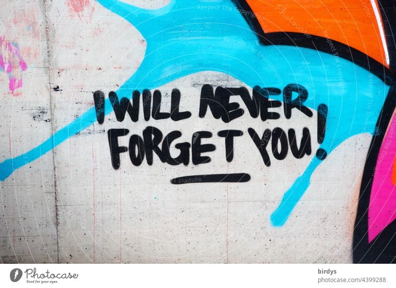 I will never forget you, colorful graffiti, writing in english on a wall obituary Divide commemoration Love Popularity loss Grief pain of separation Death