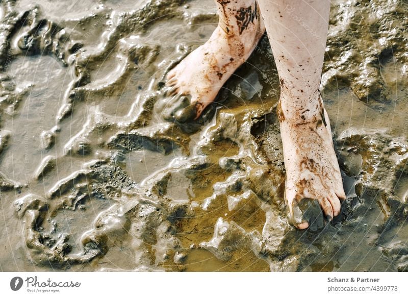 Feet in the mud mudflat hiking tour Barefoot frowzy Mud slush Sand Water watt Beach Sil footprints hike North Sea Mud flats feet