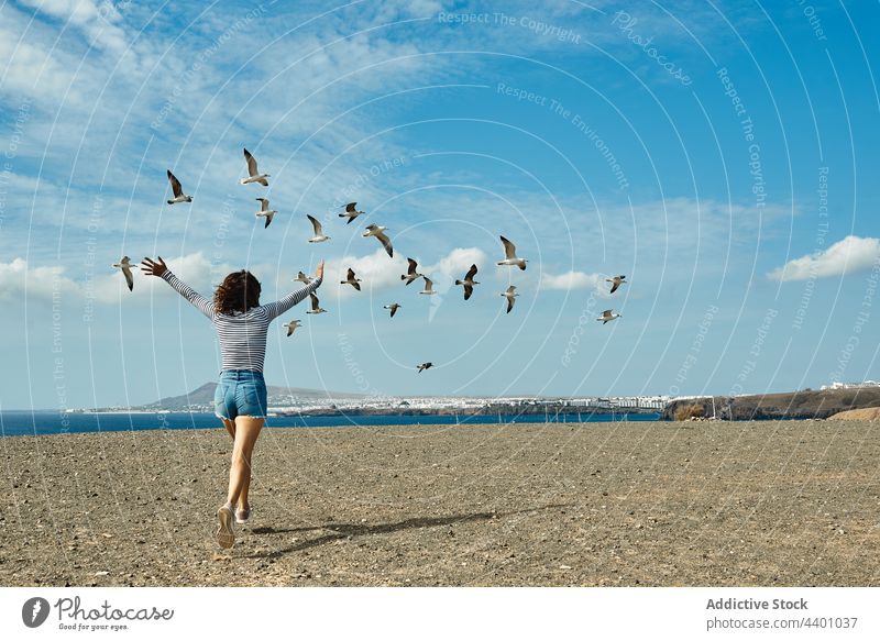 Unrecognizable woman chasing birds on seashore chase run seagull fly summer weekend vacation fuerteventura spain canary islands young female blue sky freedom