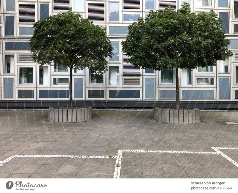 city stories Town Tree Cologne Building Architecture Parking spaces Room Street Geometry dreariness accurate Exterior shot Manmade structures Window