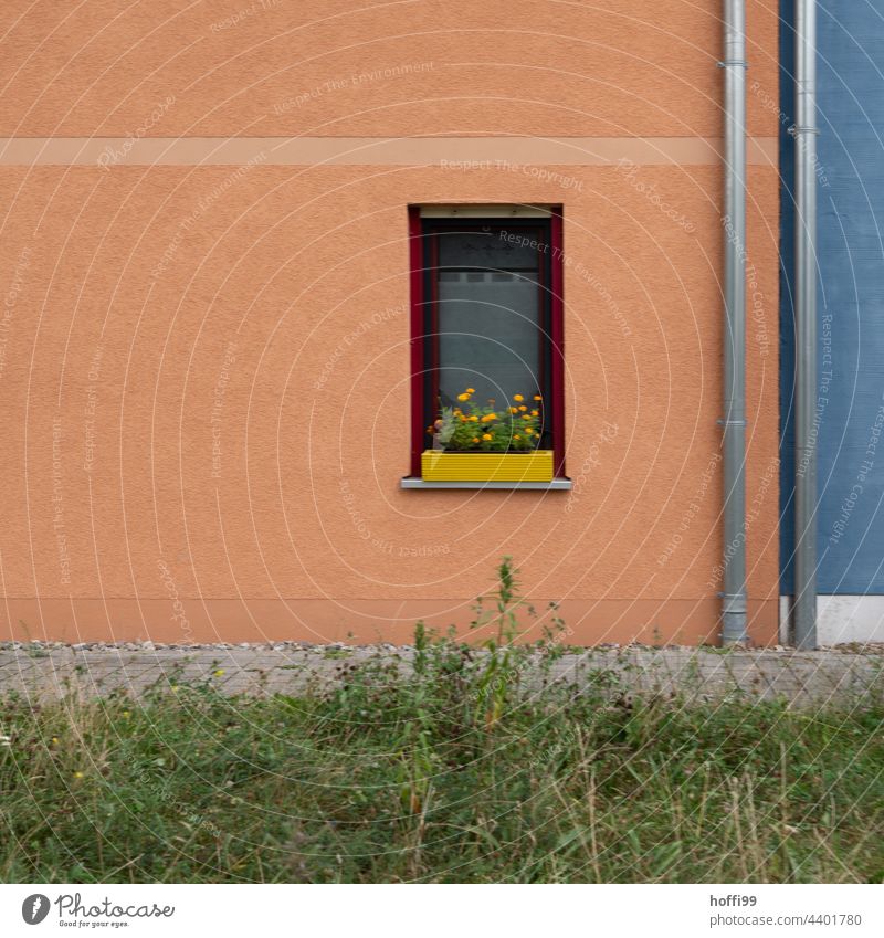 Yellow flower box in window of new building facade with downpipes and beguiling lines Blue Green Orange New building Facade Downspout Structures and shapes
