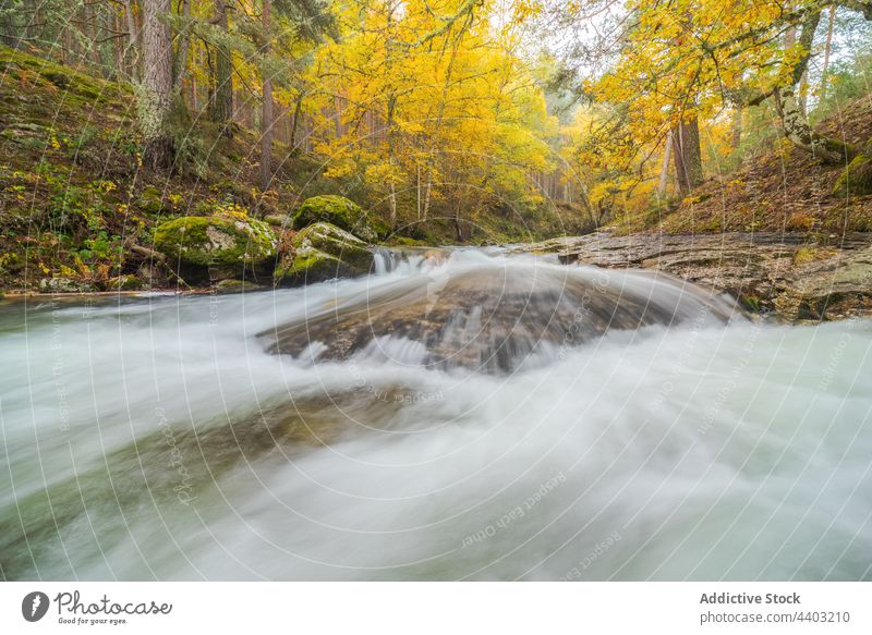 River with fast aqua streams in mountains river waterfall motion dynamic energy power nature highland flow landscape autumn tree vegetate picturesque