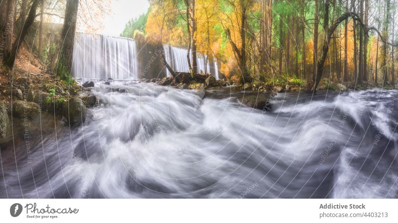Waterfalls and river with fast aqua streams in mountains waterfall motion dynamic energy power nature highland flow landscape autumn tree vegetate picturesque
