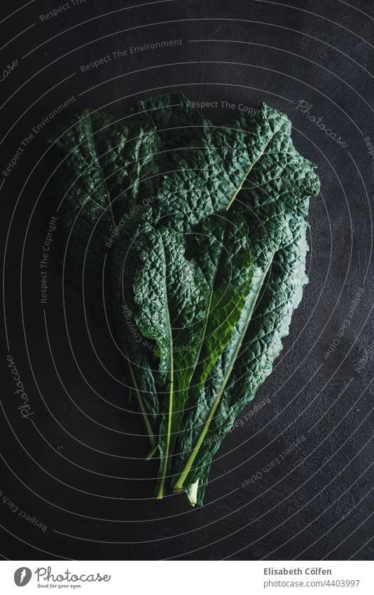 Cavolo nero black curly kale vegetable on black cavolo nero food cabbage tuscan palm tuscan cabbage leaf italian kale no people detail green healthy ingredient
