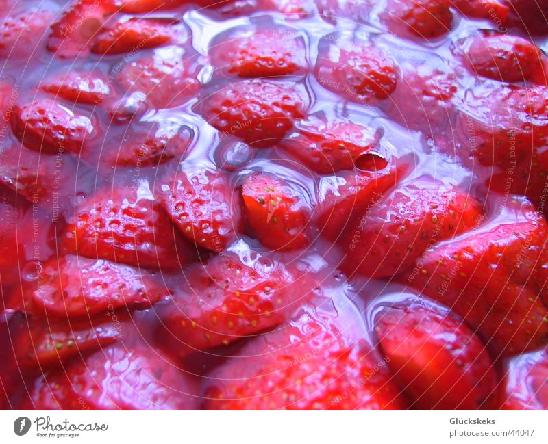 strawberry sea Red Glittering Sweet Delicious Dish Favorite dish Healthy Strawberry Macro (Extreme close-up) Structures and shapes Gelatin Reflection