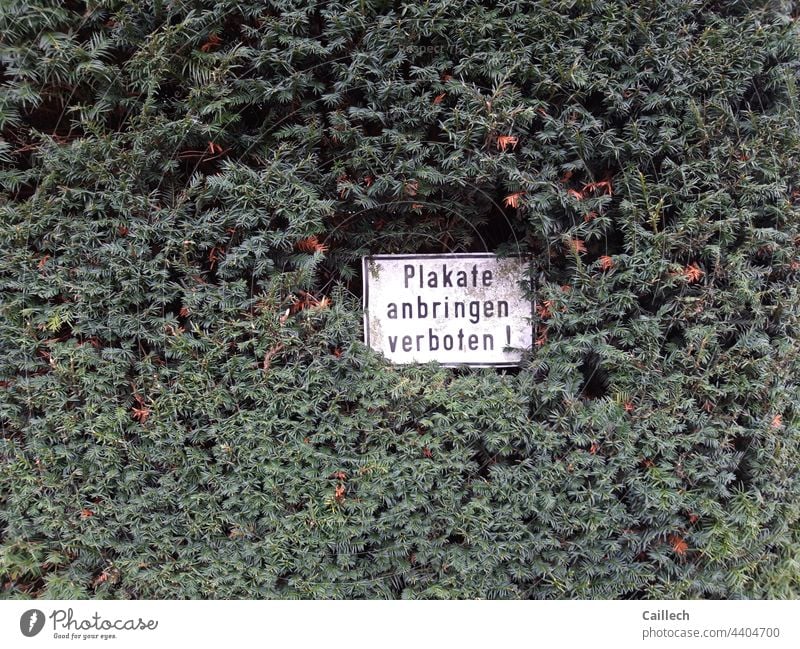 Typical German typically German Funny Hedge insanity Prohibition sign Summer unrealistic Colour photo Signage outdoor Nature Signs and labeling