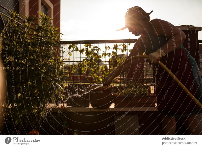 Woman gardener watering her garden with hose woman botany nature work spring growing caucasian beautiful hobby outdoor bloom young botanical natural day