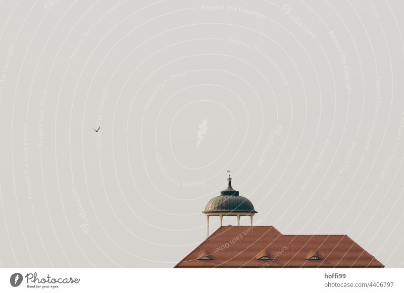 Seagull in gray sky next to roof with red tiles and turret in background Domed roof Roof roof tiles Minimalistic minimalism Historic Old Red Roofing tile dome