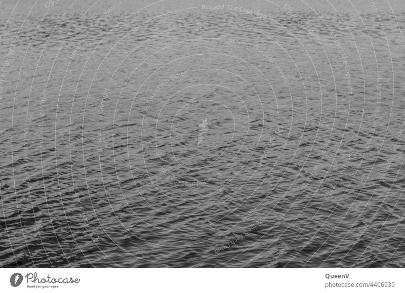 Water surface in black and white Black & white photo Nature Surface of water Environment Lakeside Calm Waves Wind element items Ocean Wet Sailing Aquatics