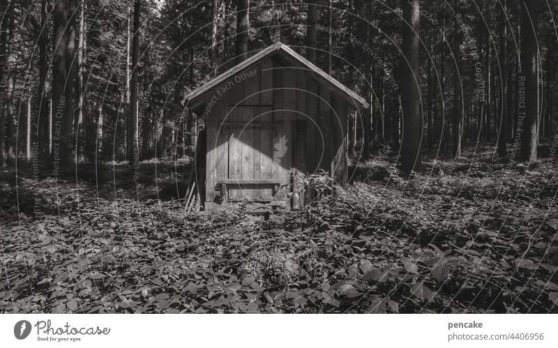 occupied | or free? Forest Hut Wooden hut black-white Loneliness House (Residential Structure) Deserted Nature Wooden house Log home Architecture Exterior shot