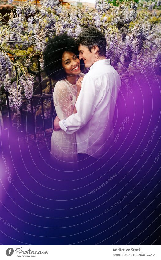 Gentle multiethnic couple embracing in garden with wisteria flowers embrace relationship park love hug content romantic diverse multiracial black