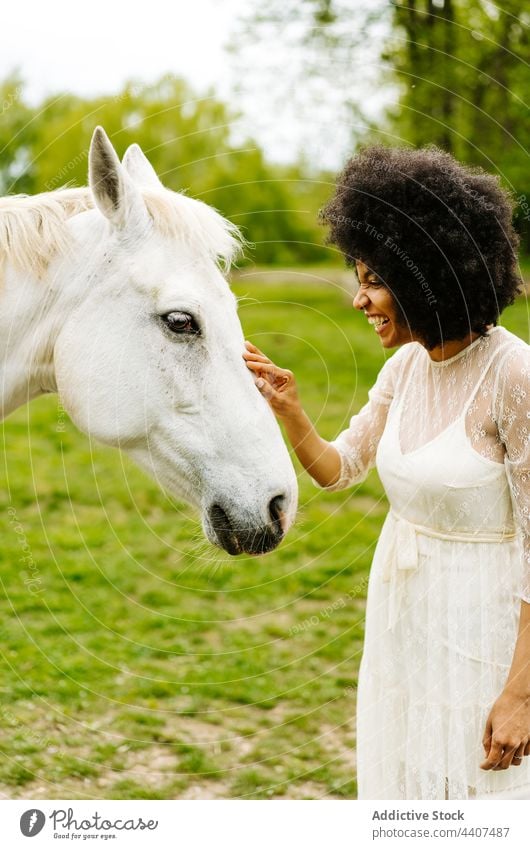 Black woman caressing gray horse in countryside smile stroke meadow animal female rural multiracial black african american happy field romantic white touch