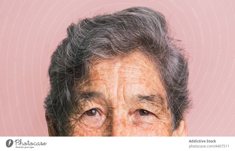Senior woman with gray hair looking at camera senior appearance elderly brown eyes complexion aged portrait studio female style personality crop individuality