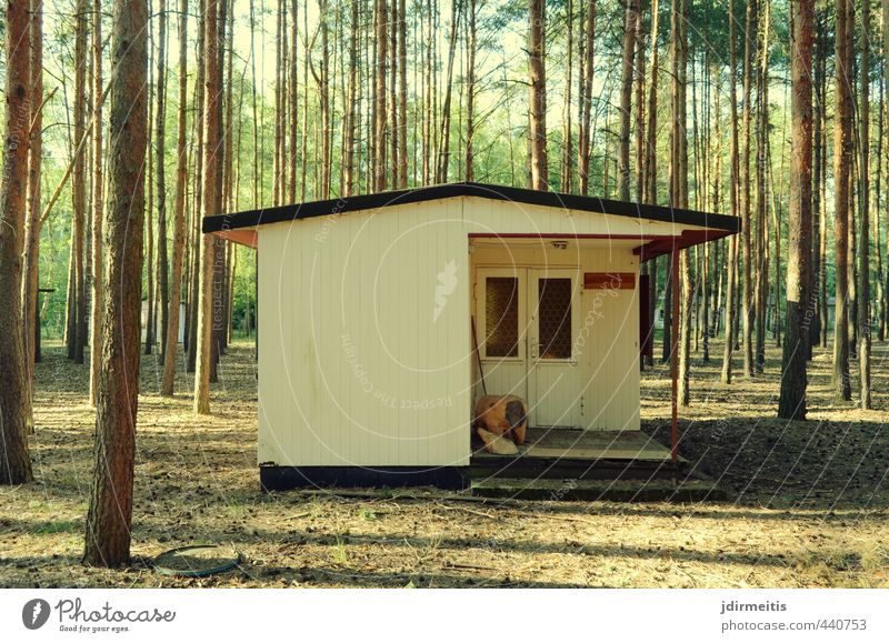 hut Vacation & Travel Summer House (Residential Structure) Nature Tree Forest Hut Wall (barrier) Wall (building) Facade Terrace Window Door Roof Relaxation