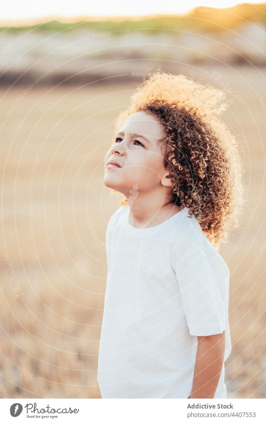 Carefree curly haired ethnic child in field afro hairstyle kid adorable summer sunlight content carefree charming nature hairdo meadow natural serene peaceful