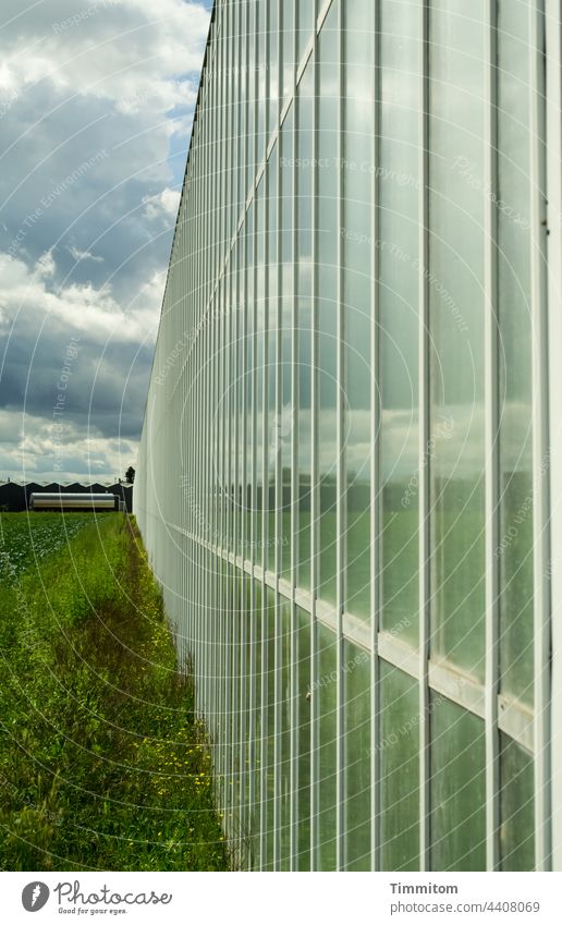 The other day in Nuremberg...Greenhouse et al. Field vegetable gardening Sky Clouds Deserted Agriculture Agricultural crop Plant reflection lines