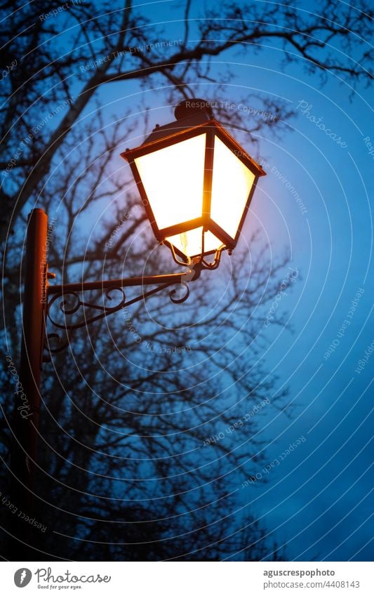 lamppost illuminated with a warm light, at nightfall on a bluish night sky. located in a walk with trees Light Illuminating Streetlight Park scene street town