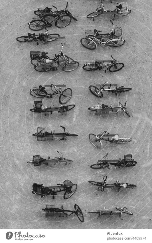 Order in chaos | Parking lot bicycles Exterior shot Means of transport Bicycle rack Many Town Mobility Wheel Cycling Transport Deserted Eco-friendly