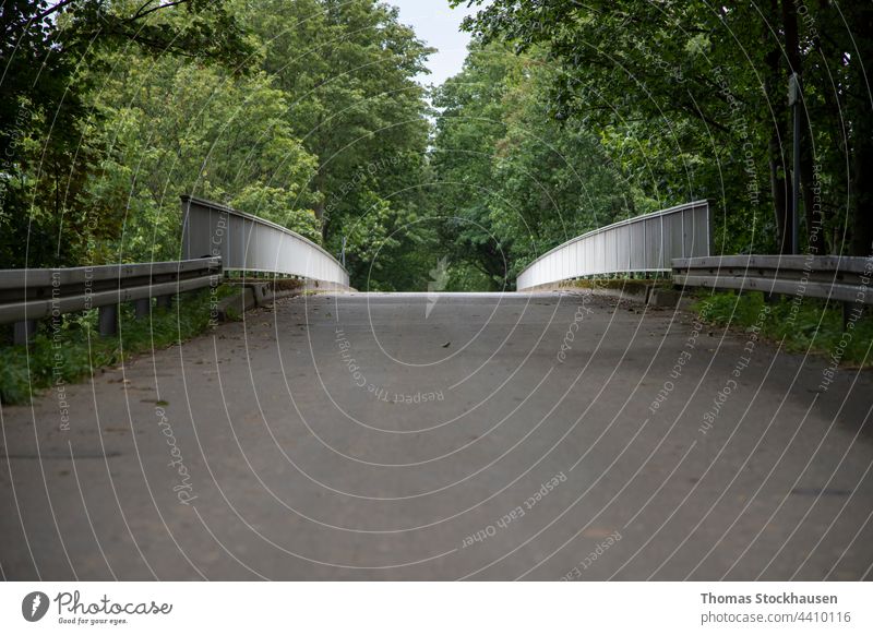 view on a bridge just above the asphalt level. The way is between trees, light on railing alone copy space day depression fence foliage green grey guard rails