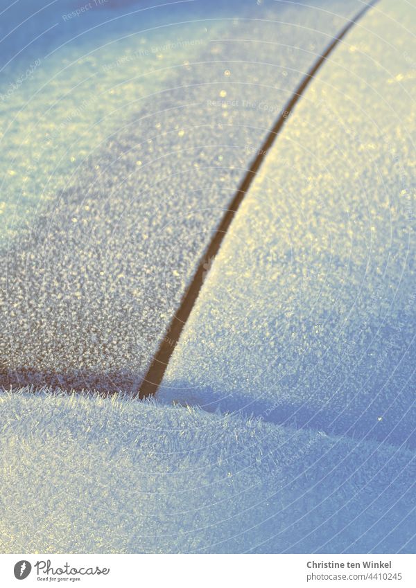 Order in chaos | of ice crystals forming a glittering surface on a car roof after a frosty night. Frost frozen Car roof cold night freezing cold chill Frozen