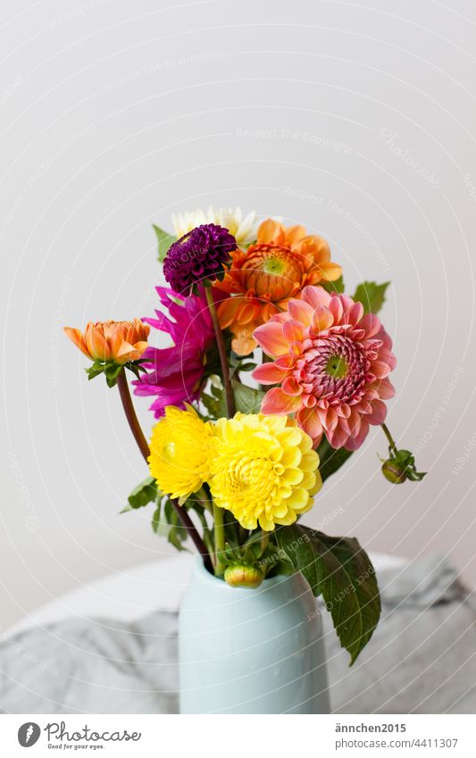 A colorful bouquet of dahlias on a table Flower Bouquet Autumn Summer Dahlia Vase Vase with flowers Blossom Decoration Blossoming Interior shot Green Deserted