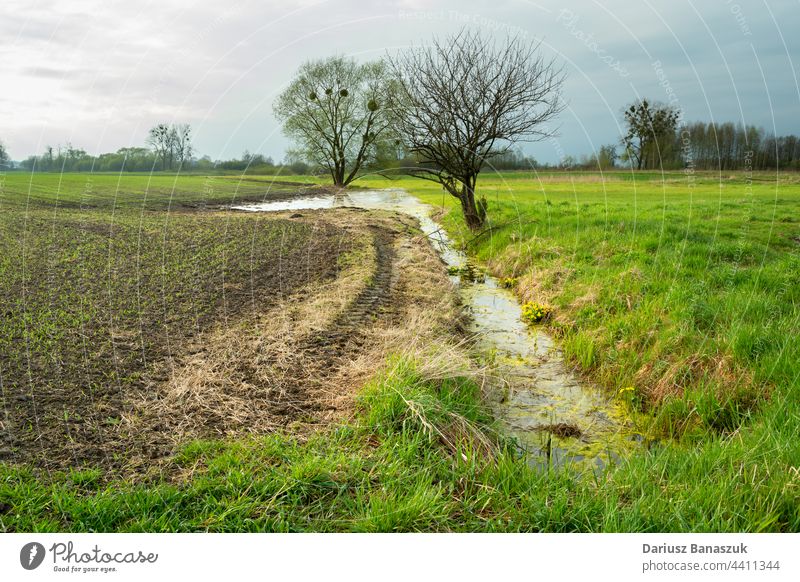 A ditch with water and trees between the field and the meadow, Zarzecze, Poland nature grass green sky landscape agriculture outdoor rural countryside spring