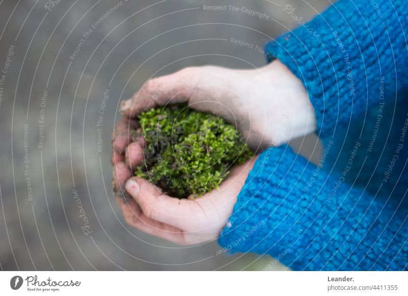 Mood in the hand Moss Nature Child Forest Experiencing nature Love of nature Blue Wool Earth Dirty Hand world Green Garden Gardening