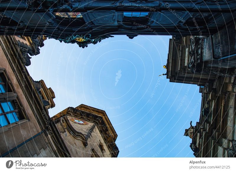 as a frog in Dresden Historic Old town Architecture Exterior shot Tourism Tourist Attraction Colour photo Town Saxony Worm's-eye view Deserted Germany