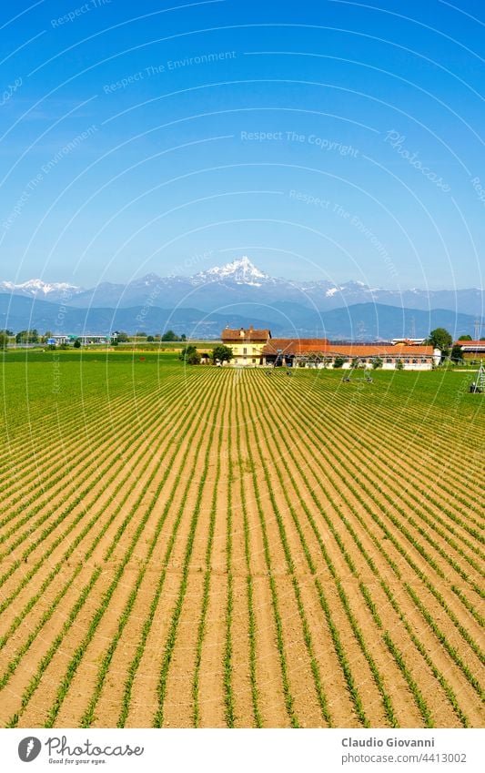 Country landscape near Fossano, Cuneo province, at May Europe Italy Piedmont agriculture blue color country day farm field flower green house morning mountain