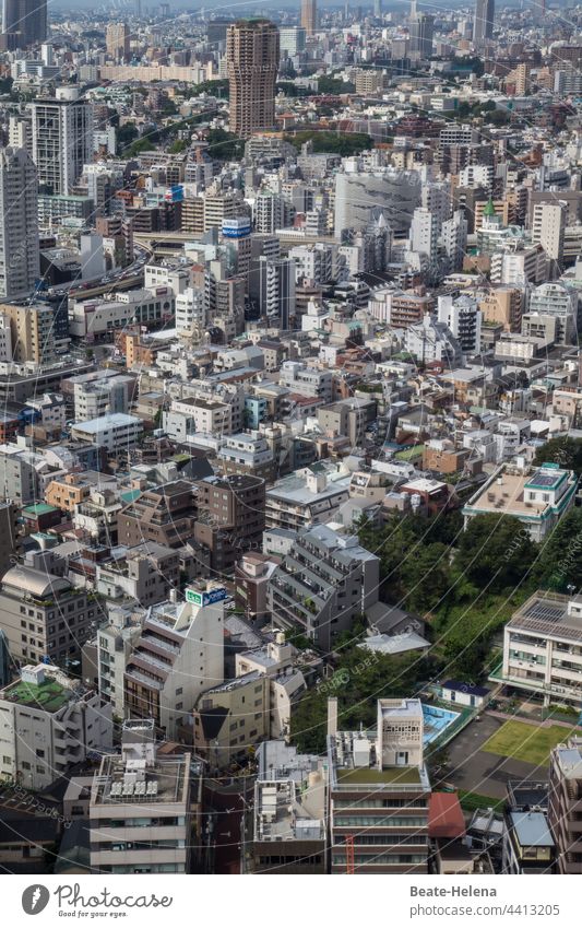 Small section of the megacity Tokyo Japan Asia Capital city downtown skyscrapers Downtown Architecture Skyline City of millions narrow