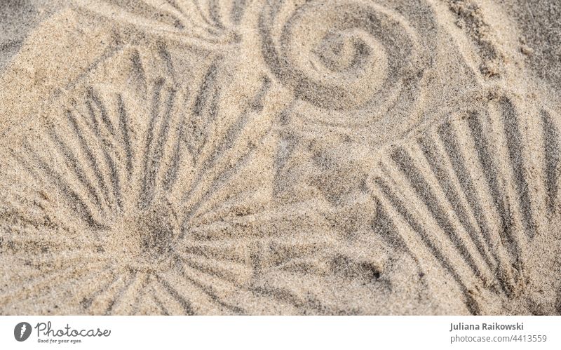 Patterns in the sand Sand Beach Ocean Sun Summer coast background Vacation & Travel Colour photo Deserted whorls Sandy beach texture vacation Summer vacation