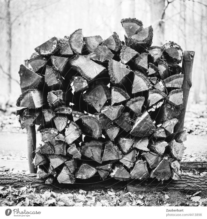 Wood pile, top view in black and white, in the forest Stack of wood Forest Lumber industry logs Forestry Tree trees Black & white photo Tree trunk Timber
