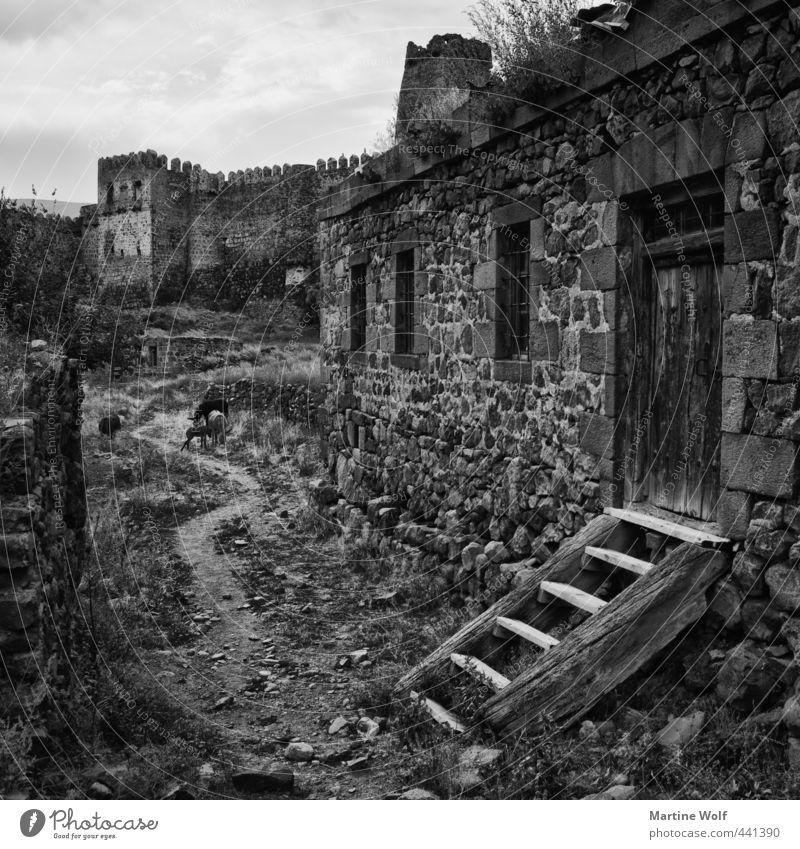 living lonely Vacation & Travel Trip Khertvisi Georgia Europe Asia Village Deserted House (Residential Structure) Castle Wall (barrier) Wall (building)