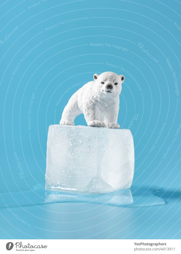 Global warming concept. Ice cube melting on a blue background. alone animals antarctica baby bear change climate color consumerism creative damage danger