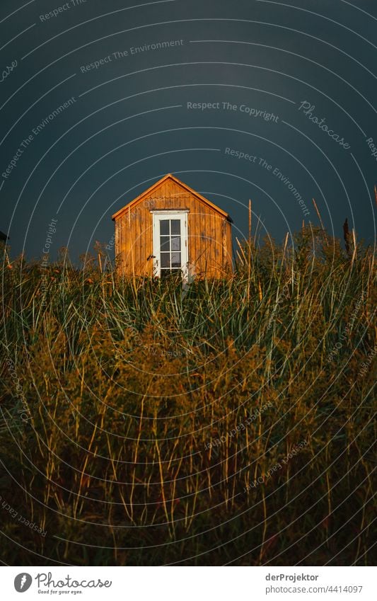 Beach house on the hygge island Ærø in Denmark XII relaxation relax & recuperate" Freedom Summer Exterior shot Baltic Sea Tourism Neutral Background Landscape