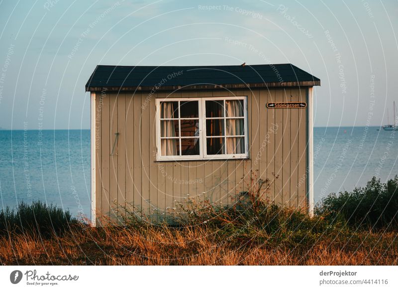 Beach house on the hygge island Ærø in Denmark X relaxation relax & recuperate" Freedom Summer Exterior shot Baltic Sea Tourism Neutral Background Landscape