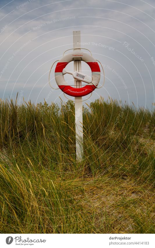 Lifebelt on the hygge island Ærø in Denmark XII relaxation relax & recuperate" Freedom Summer Exterior shot Baltic Sea Tourism Neutral Background Landscape