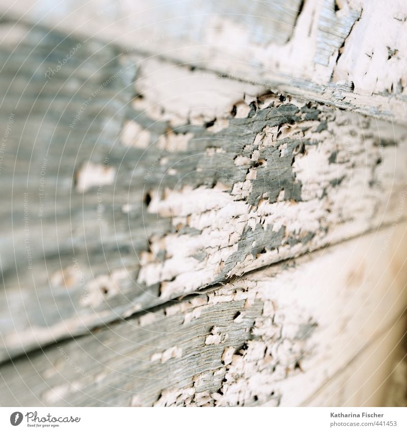 .. . weathered Environment Spring Summer Wood Old Dirty Authentic Simple Original Trashy Dry Brown Gray White Weathered Wooden fence lattice fence Colour photo