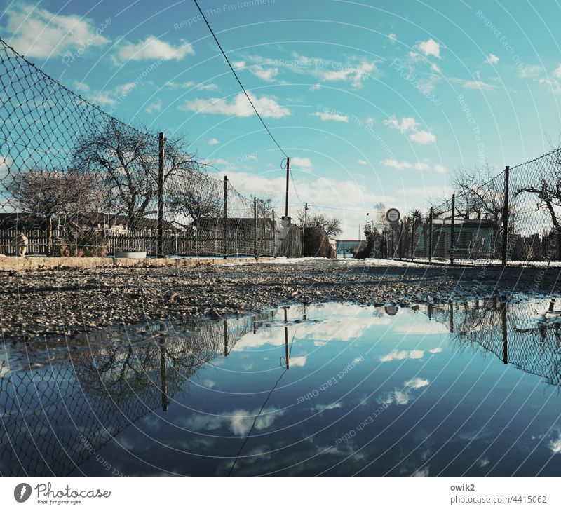 lake scenery Garden allotments off Fence Plots Wire netting fence Horizon Sky Clouds Idyll Puddle Water Water reflection Reflection Copy Space top