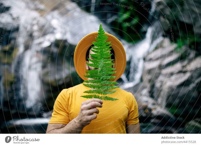 Serene traveler with fern leaf near waterfall man nature enjoy dreamy harmony male serene tranquil environment peaceful calm rock rocky forest woods woodland