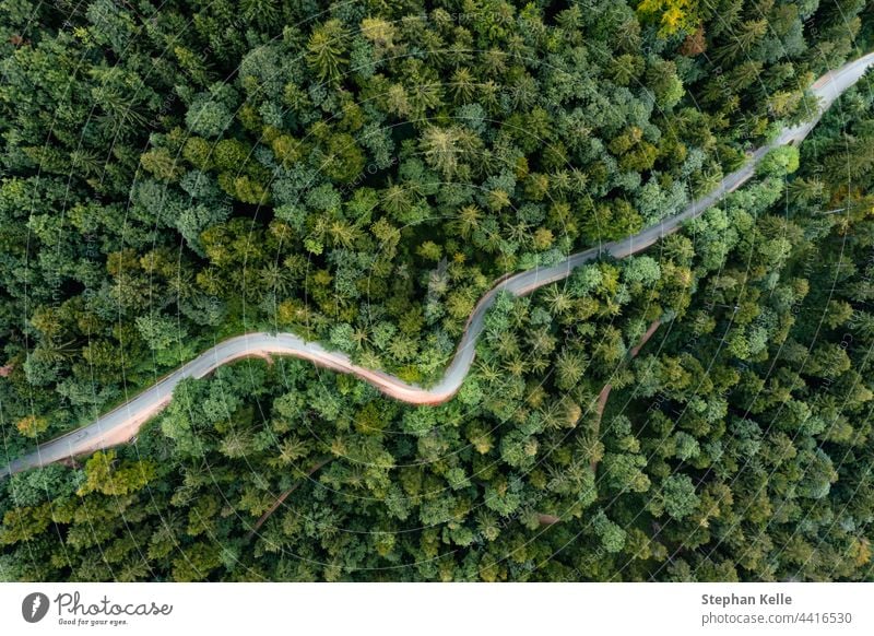 Backlight of a moving car on a curvy road as a long exposure from a drone taking a trip into a green summer forest in the evening. Curve Street