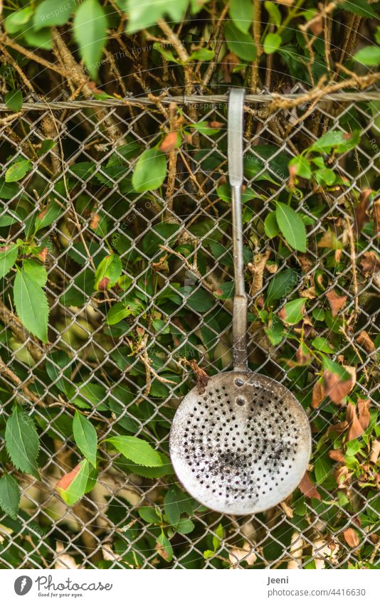 Ladle at the garden fence converted to turn the barbecue coal Garden fence Hang Fence Day Wire netting fence Kitchen kitchen utensils Metal Wire fence