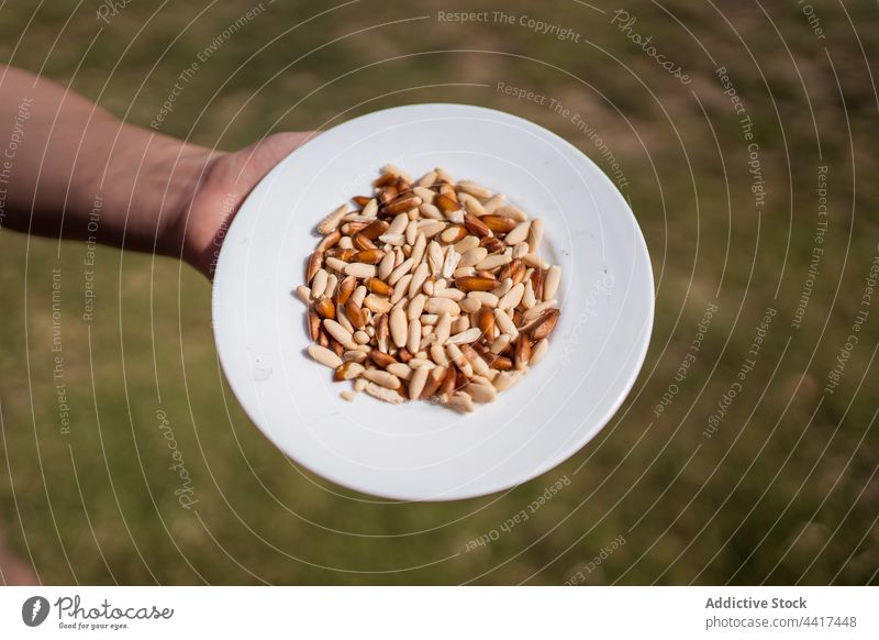 Crop farmer with grains on plate cereal pile natural countryside organic healthy heap fresh agriculture seed rustic rural field wheat harvest nature agronomy