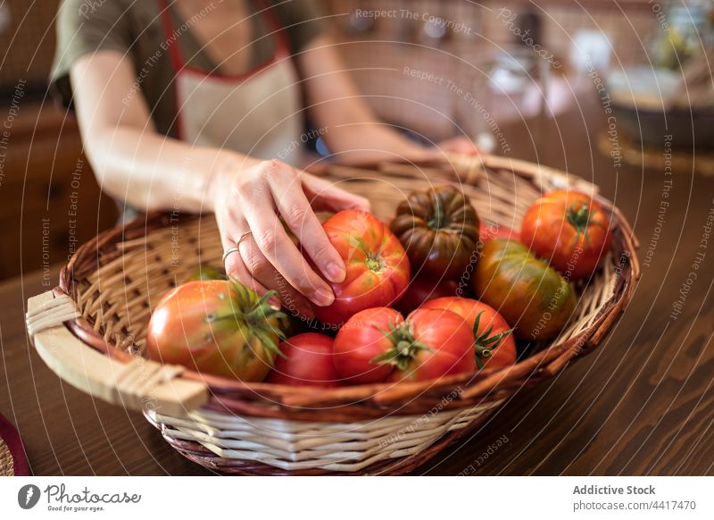 Ripe tomatoes in wicker basket on table harvest ripe pile fresh vegetable rustic kitchen organic edible vitamin raw food heap healthy delicious vegan bunch