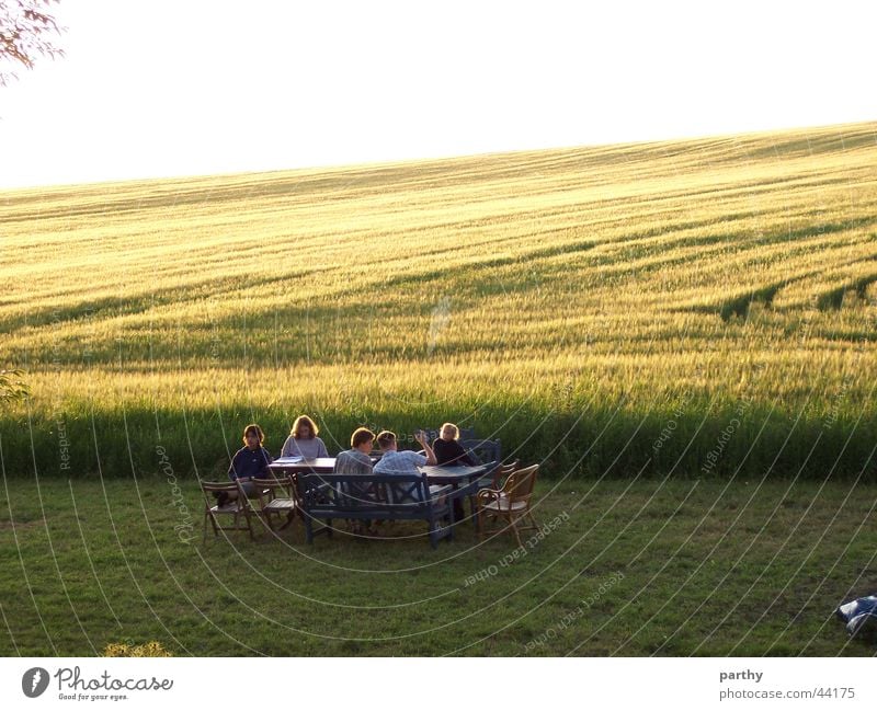 A table in front of the grain field Table Breakfast Field Grain Sun Lawn