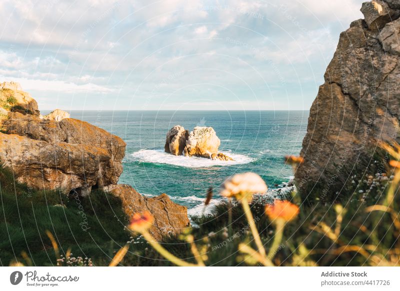 Scenic coastline with rocky cliffs and flowers sea shore seashore landscape seaside formation nature picturesque spain cantabria liencres summer evening ocean