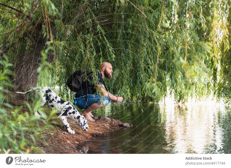 Man and dog on river shore under tree man nature water summer backpack beard explore male puppy great dane casual friend coast animal green pet together plant
