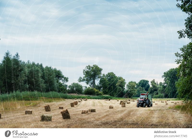 Tractor driving through field with haystacks tractor countryside agriculture nature summer work drive tree farm vehicle rural cultivate harvest machine green